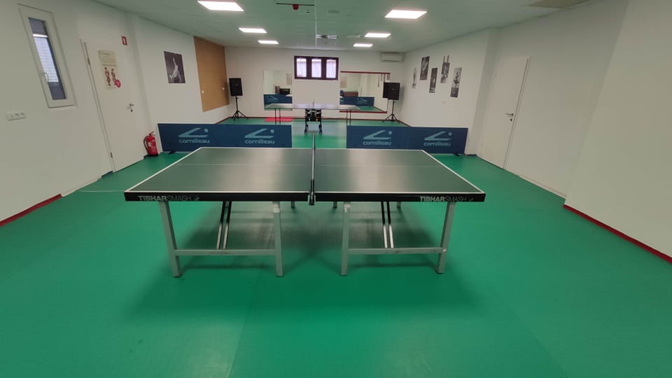 ping pong-2