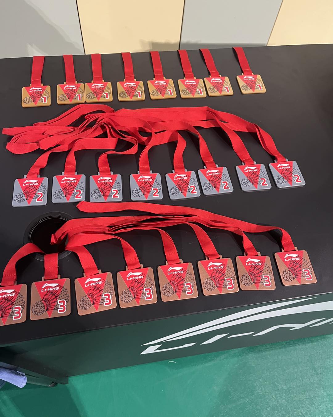 Novoletni Li-Ning Open – 14.12.2024
